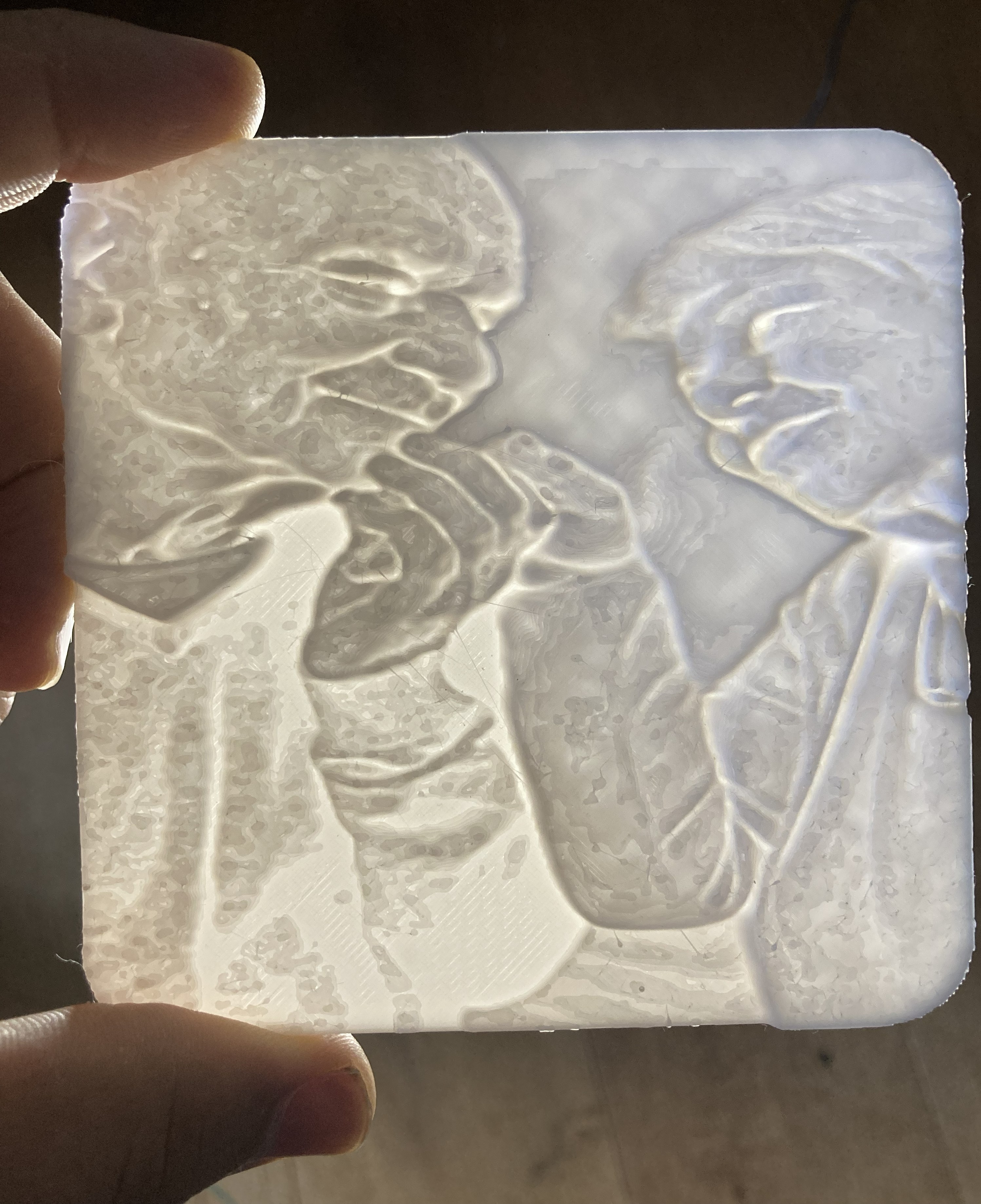 Foto als 3D-Relief drucken lassen – individuelles 3D Relief aus Bild