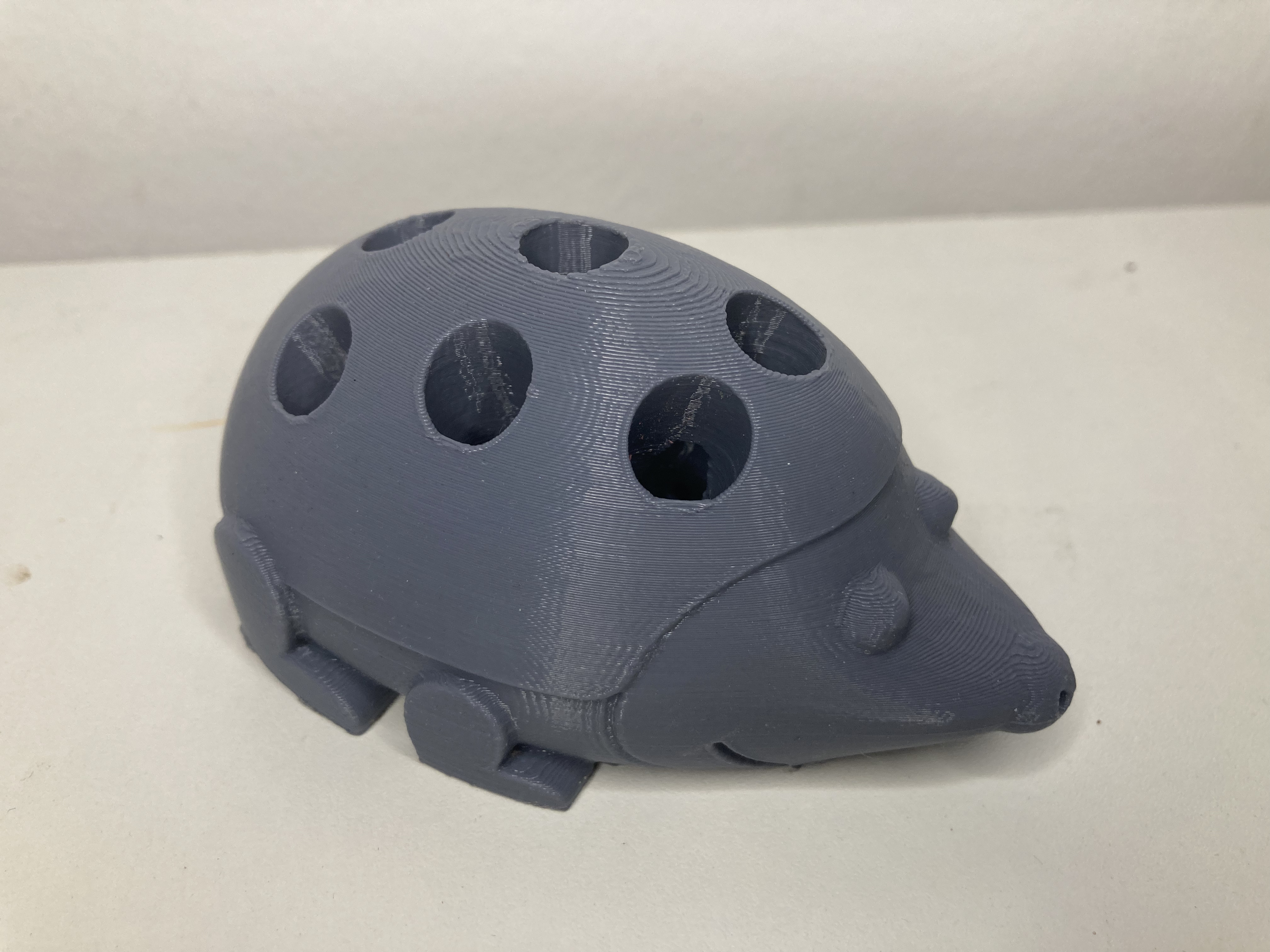 Projektfoto IMG_1390 – Anwendung des fertigen Produkts